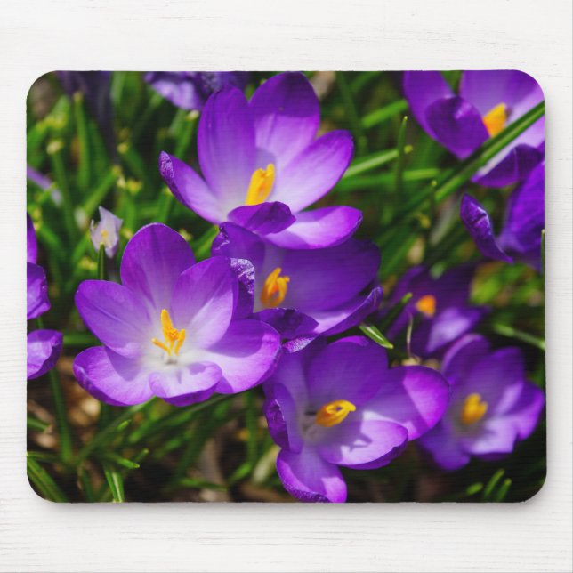 Lilac Crocuses Mouse Pad (Front)