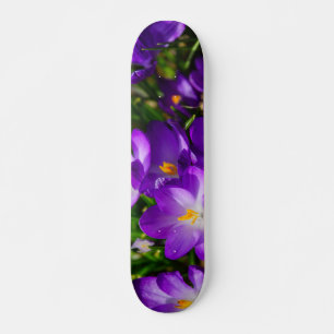 Lilac Crocuses Skateboard