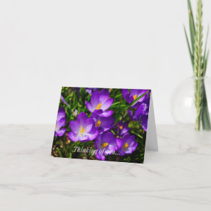 Lilac Crocuses Thinking Of You Card