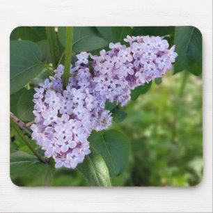 lilac curtain mouse pad