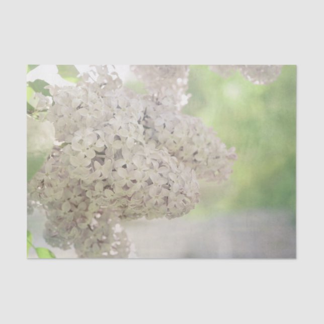 Lilac Flower Soft White Country Botanical Tissue Paper (Front)