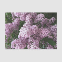 Lilac Flower Tissue Paper