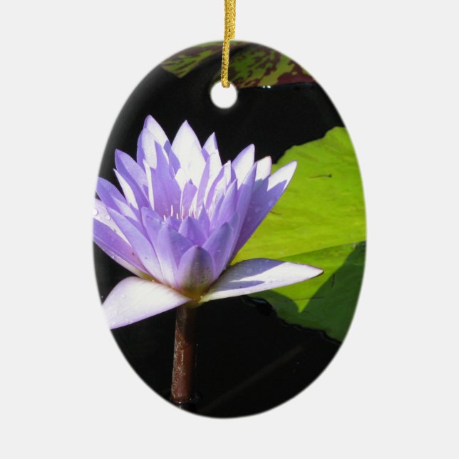 Lilac Flower with Lili Pads at Longwood Gardens Ceramic Ornament (Front)