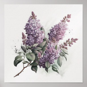 Lilac Flowers Art Print Poster