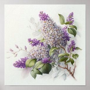 Lilac Flowers Art Print Poster
