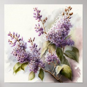 Lilac Flowers Art Print Poster