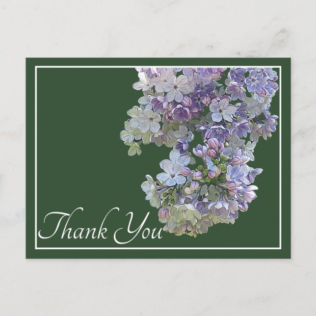 Lilac Flowers Green Background Thank You Postcard (Front)