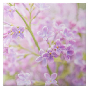 Lilac Flowers Mist Tile