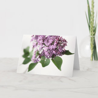Lilac Flowers Springtime Fragrance Beauty L Card