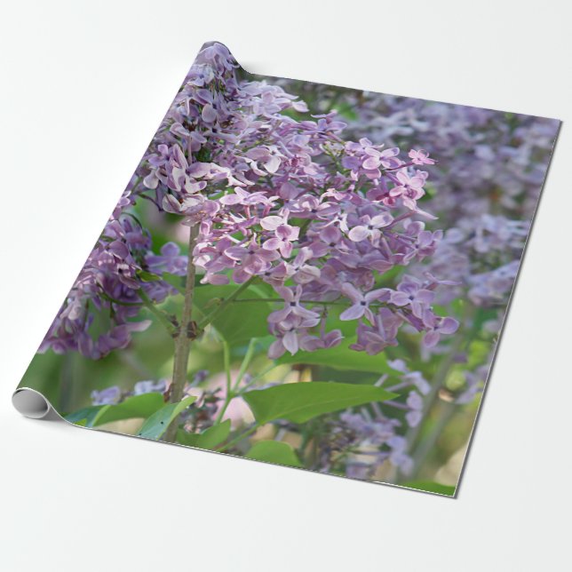 Lilac flowers wrapping paper (Unrolled)