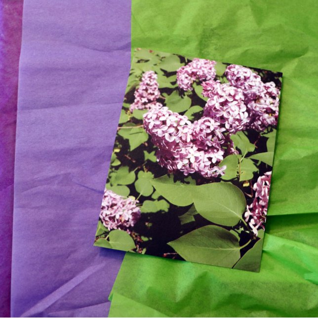 Lilac Love Postcard (Creator Uploaded)