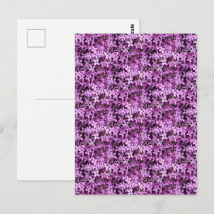 Lilac Photo   Tiled Half Drop    Postcard