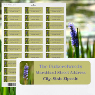 Lilac Purple Pickerelweed Flower Botanical Floral Return Address Label