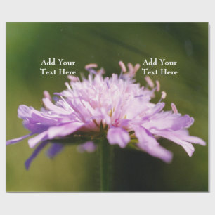 Lilac Scabious (Knautia arvensis) Flower Custom Wrapping Paper