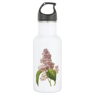 lilac(Syringa sp.) by Redouté 532 Ml Water Bottle