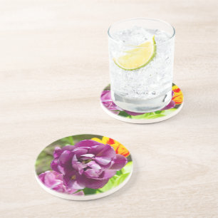 Lilac tulips on a sunny day coaster
