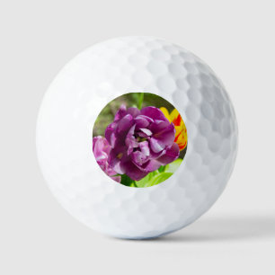 Lilac tulips on a sunny day golf balls