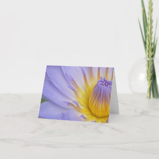 Lilac Waterlily Notecard