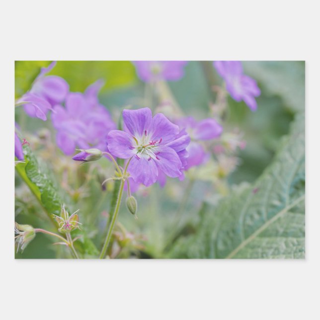 Lilac Wildflower Photo Geranium Botanical Flower Wrapping Paper Sheet (Front)