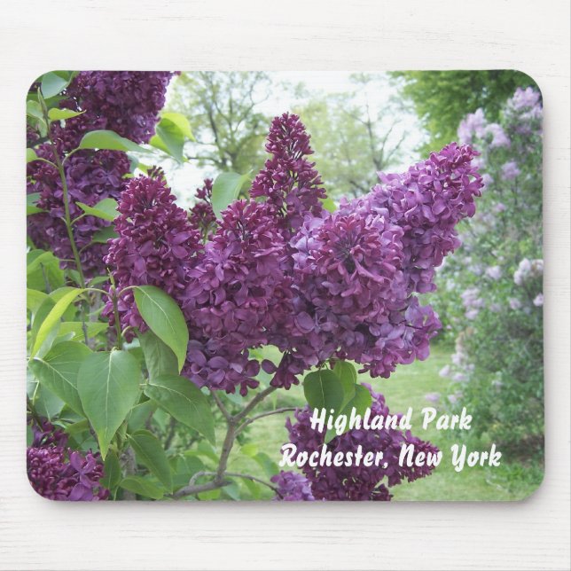 Lilacs at Highland Park Mouse Pad (Front)