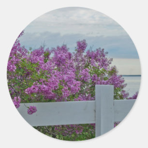 Lilacs by the Water Classic Round Sticker