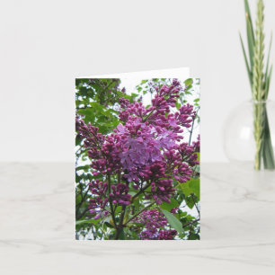 "Lilacs chez moi" Card