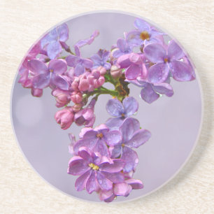 Lilacs in Springtime Coaster