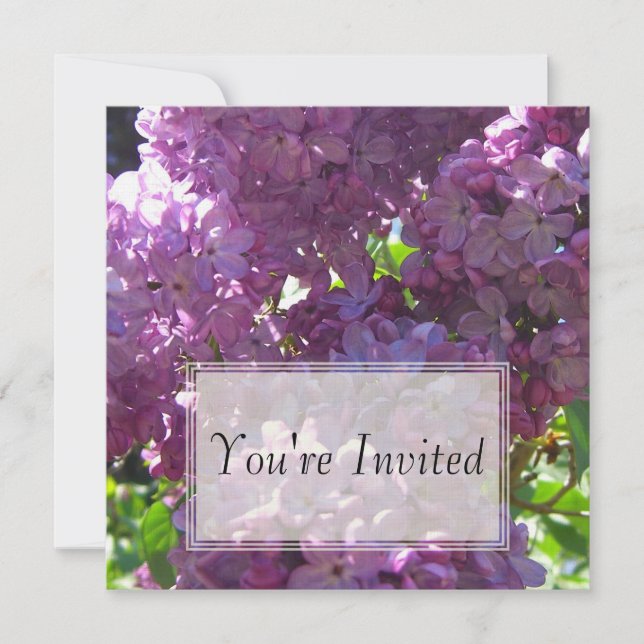 Lilacs Invitations (Front)