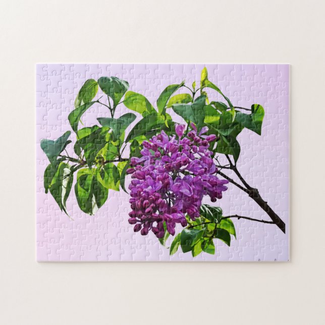 Lilacs Just Opening Jigsaw Puzzle (Horizontal)
