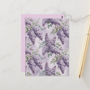 Lilacs Lilac Blossoms Sage Green Dusty Lavender Postcard