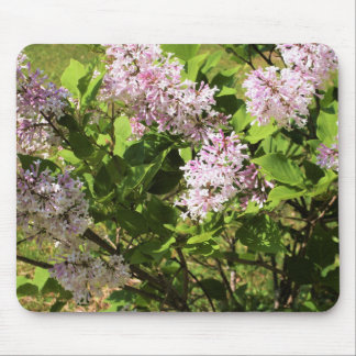 Lilacs Mouse Pad