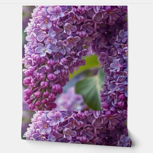 Lilacs Wallpaper (Unrolling)