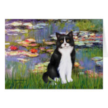 Lilies 2 - Black and White Cat