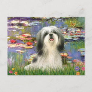 Lilies (#2) - Shih Tzu #3 Postcard
