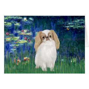 Lilies 5 - Japanese Chin (L1)