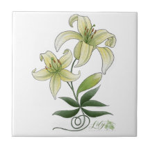 Lilies