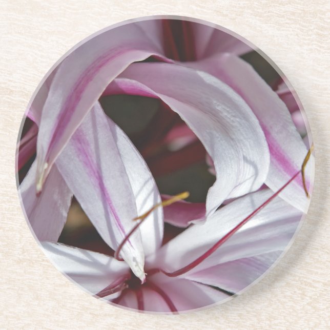 Lilies Coaster (Front)