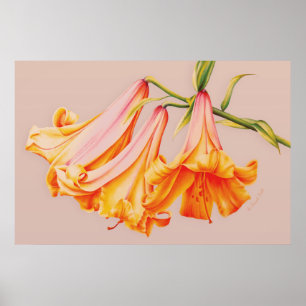 "Lilies" fine art botanical poster print