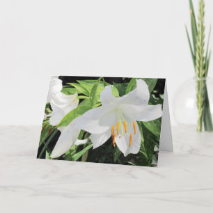 Lilies Greeting Card