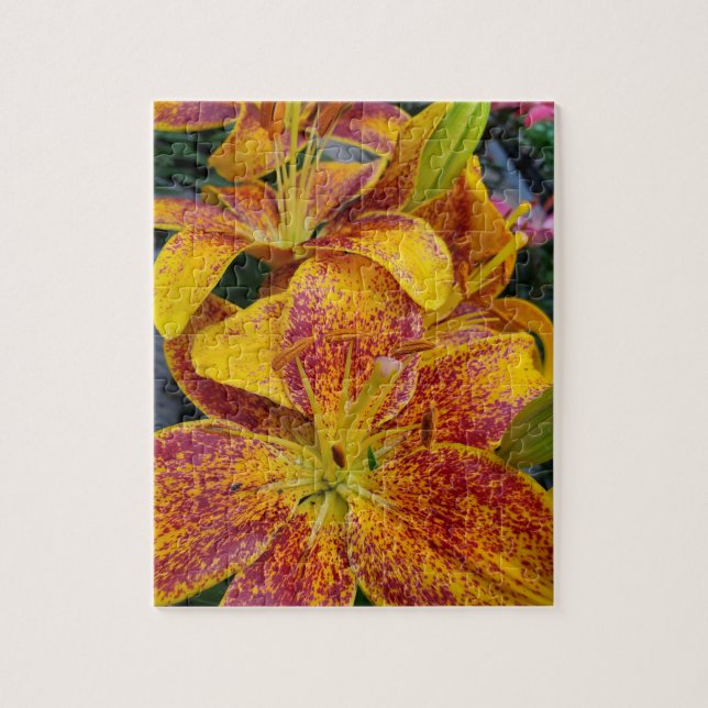Lilies  jigsaw puzzle (Vertical)