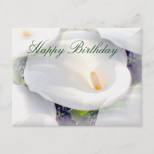 , Lilie's Love_ Postcard