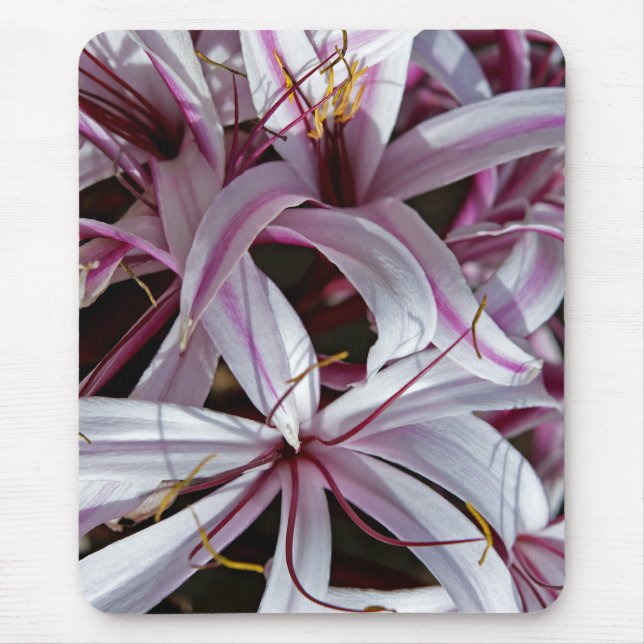 Lilies Mousepad (Front)