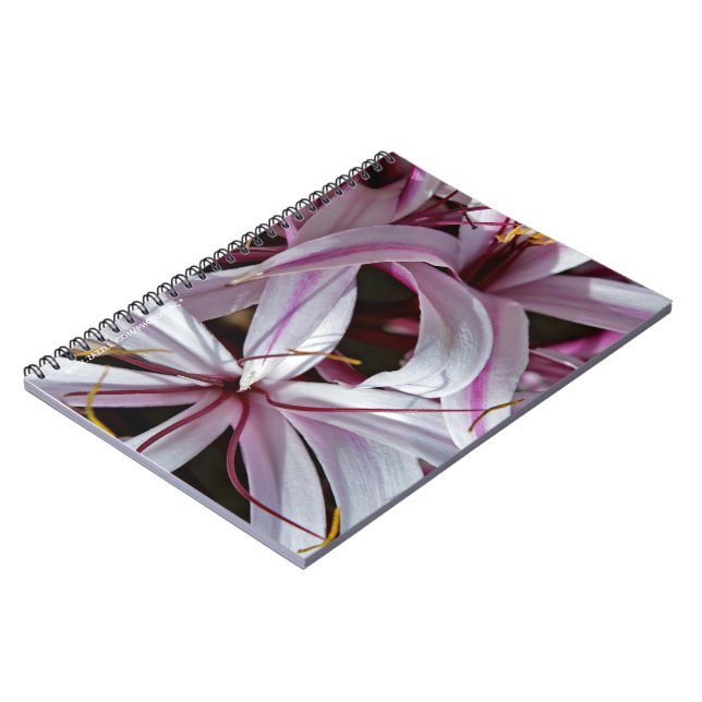Lilies Notebook (Left Side)
