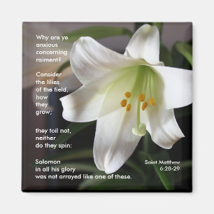 Lilies of the Field - Magnet