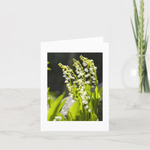 Lilies of the Valley from my garden.... Card