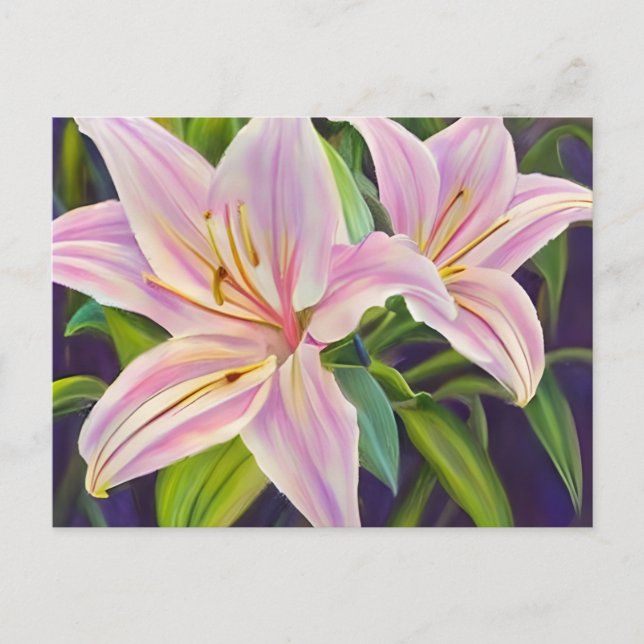 Lilies plants postcard (Front)