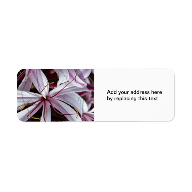 Lilies Return Address Labels (Front)