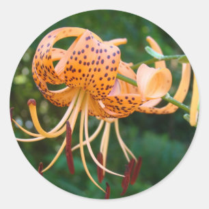 LILIES Tiger LILY FLOWERS STICKERS STICKER SHEETS