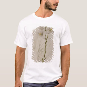 Lilium Candidum, from `Les Liliacees', 1807 T-Shirt