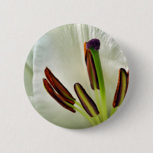 Lilium Oriental White Badge